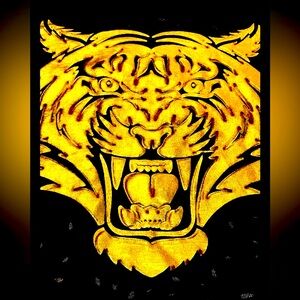 Detroit Tigers GOLDEN BLING TIGER BLACK T shirt baseball flying Horse men’s  3XL